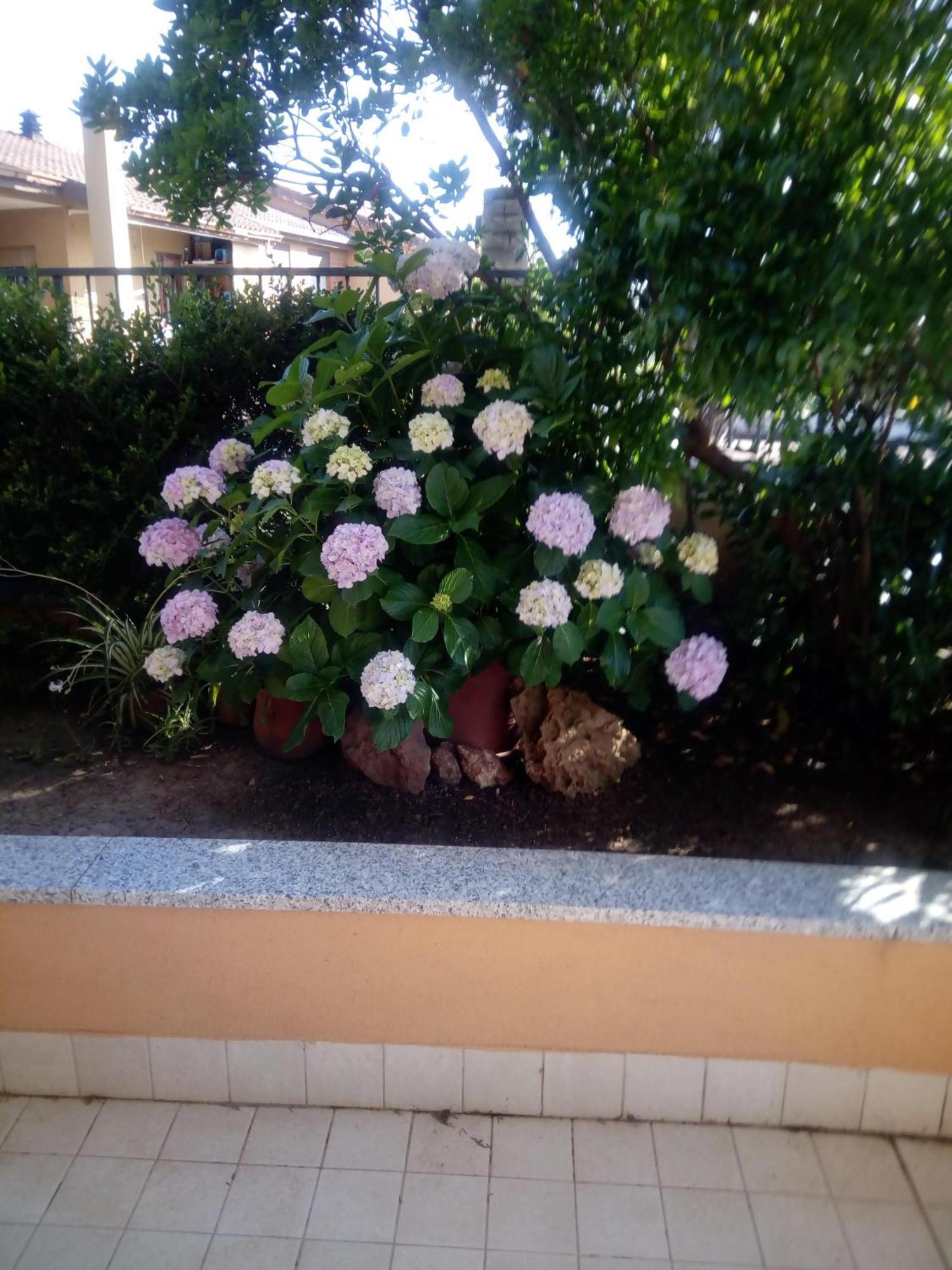 Casa Al Mare Con Giardino Villa Alghero Buitenkant foto